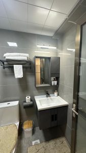 Furnished 1 Bedroom Apartment in Riverside – KES 6,000 per Day