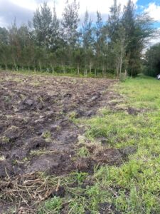 12 Acre Prime Land for Sale in Karen – Rhino Park KES 35M