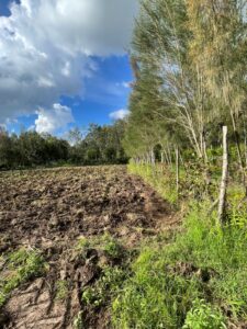12 Acre Prime Land for Sale in Karen – Rhino Park KES 35M