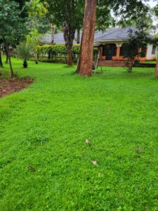 0.7 Acre Land for Sale in Kileleshwa, Mandera Road