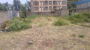 Commercial Land for Sale Along Magadi Road in Rongai