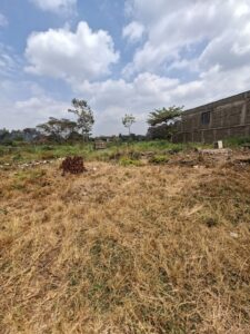 Land for Sale Touching Garden Estate Road 4.6 Acres